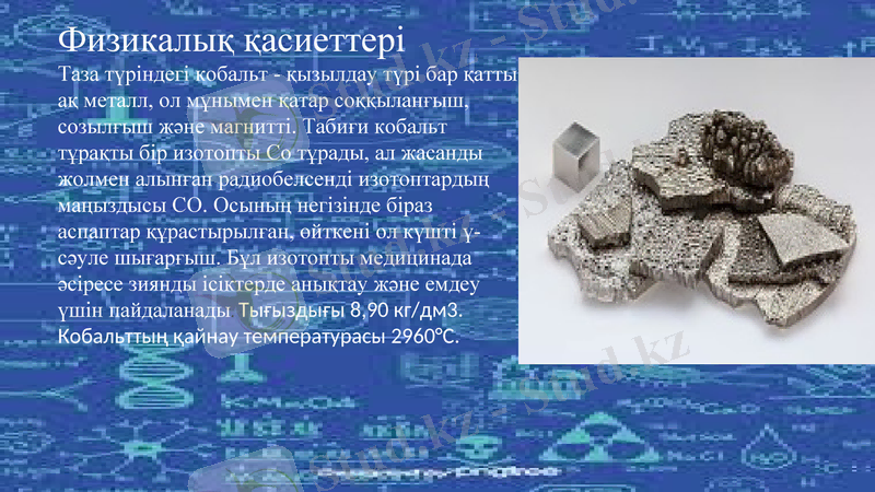 Slide 6