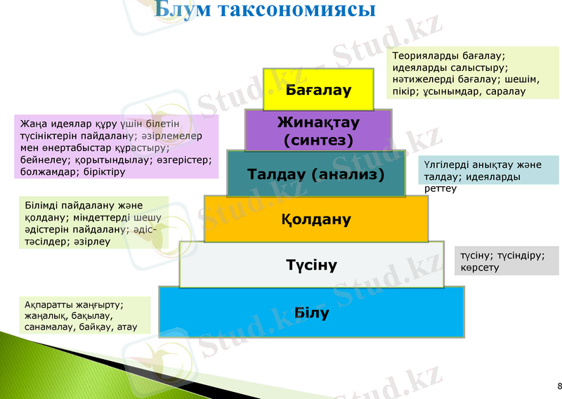 Slide 8