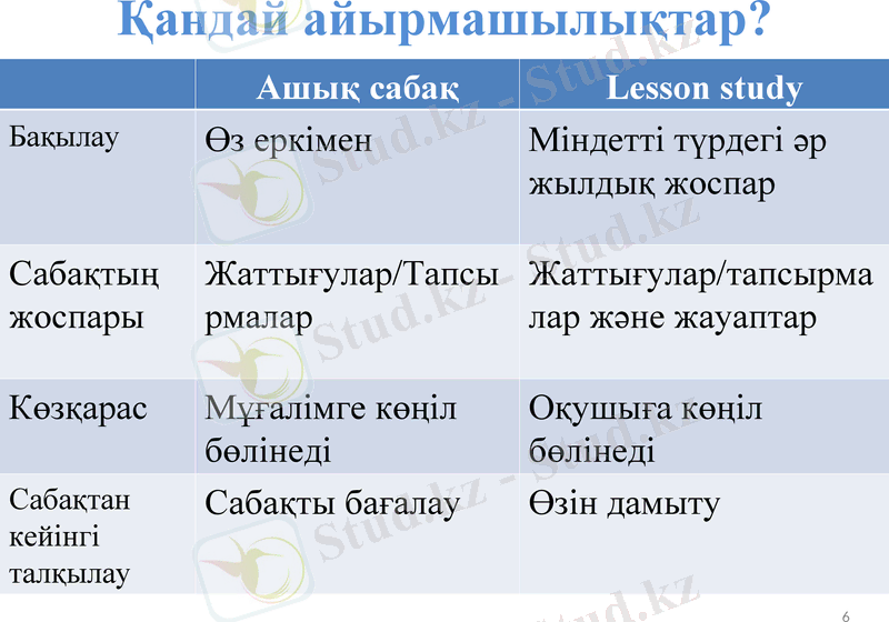 Slide 6