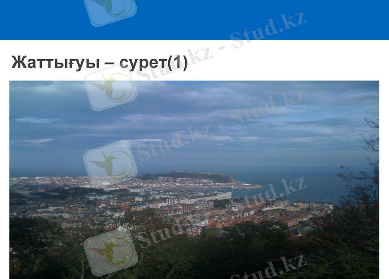 Slide 8
