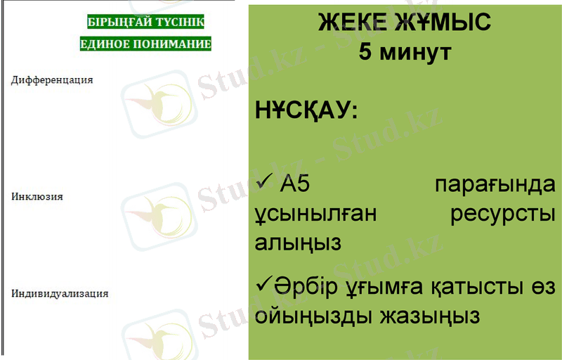Slide 17
