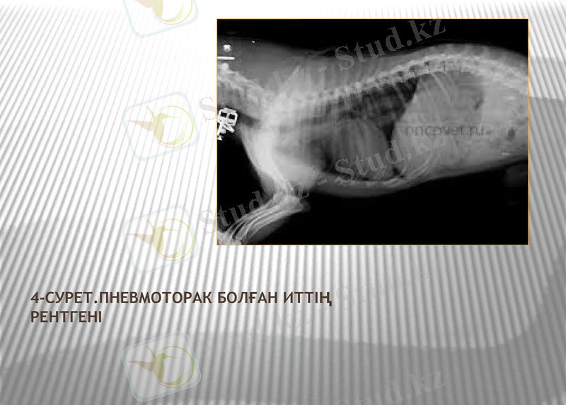Slide 10