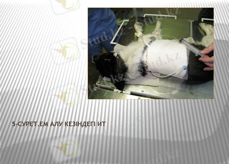 Slide 12