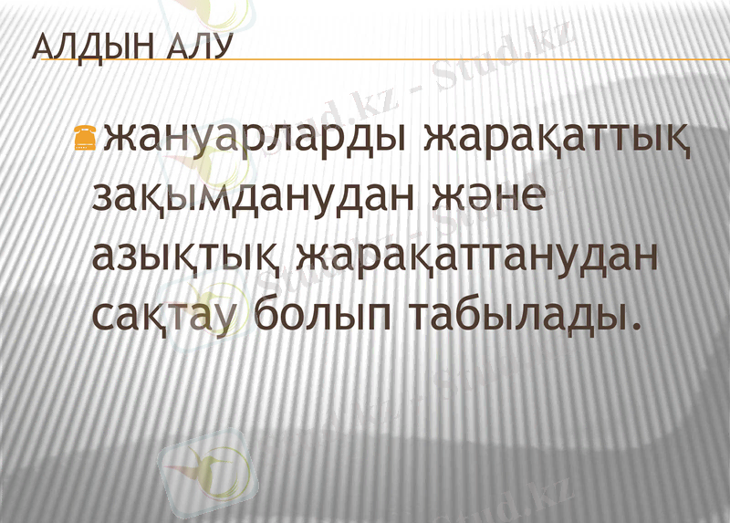 Slide 13