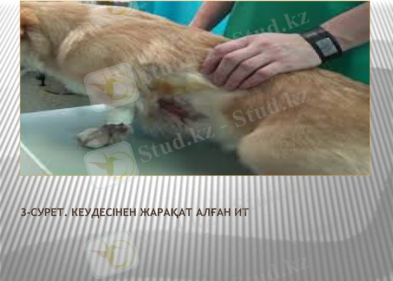 Slide 6