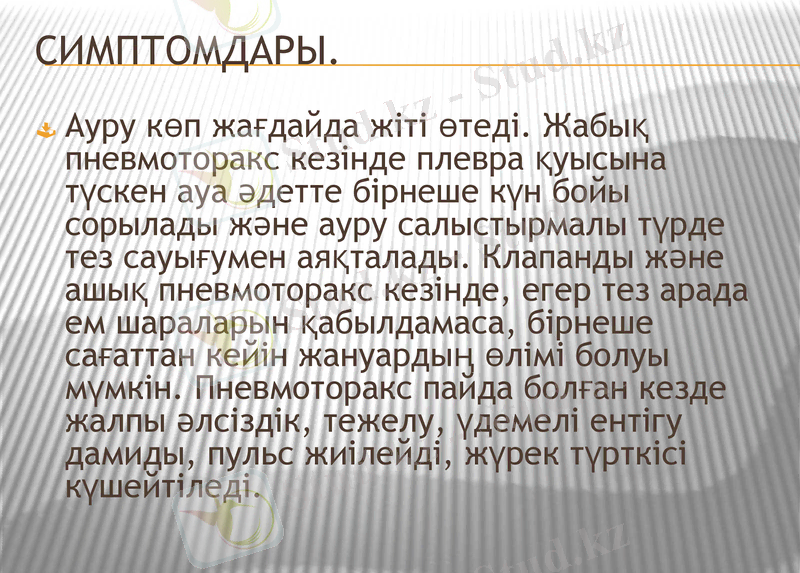 Slide 7