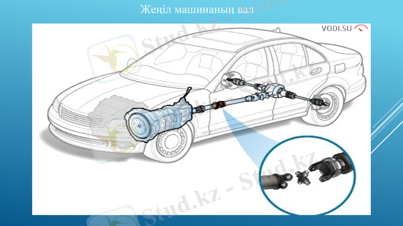 Slide 6