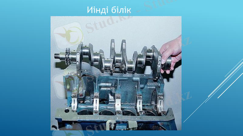 Slide 8