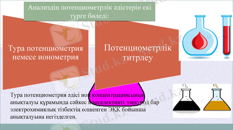 Slide 11