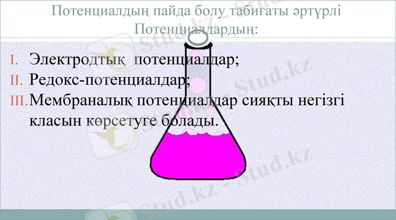 Slide 12