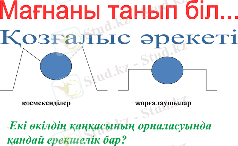 Slide 10