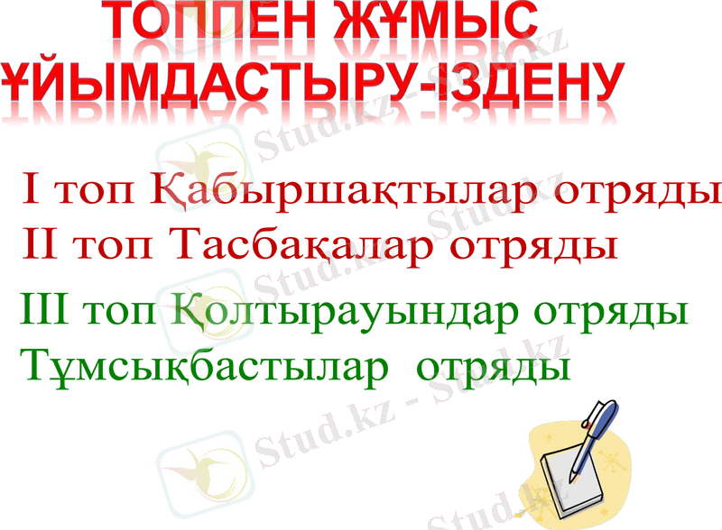 Slide 11