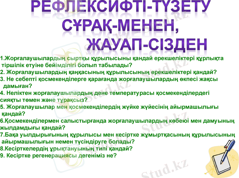 Slide 13