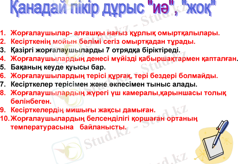 Slide 15