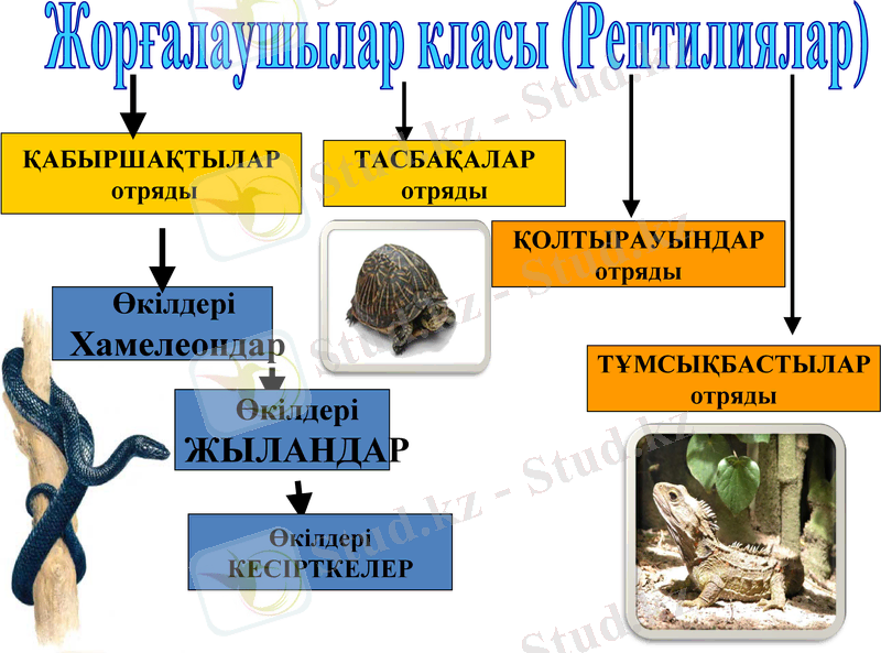 Slide 8