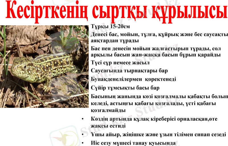 Slide 9