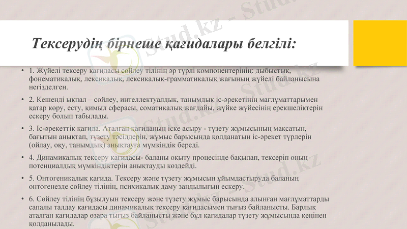 Slide 7