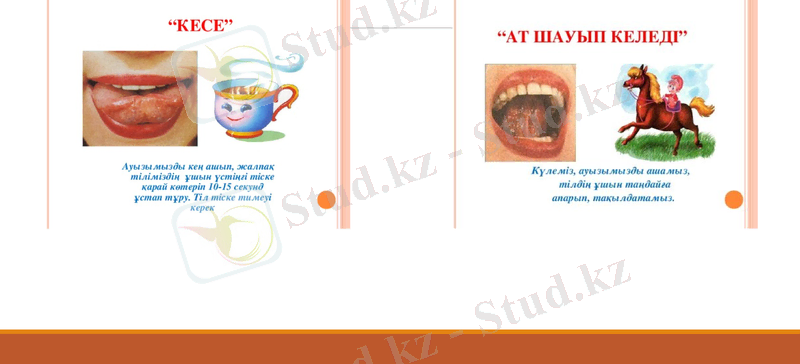Slide 10