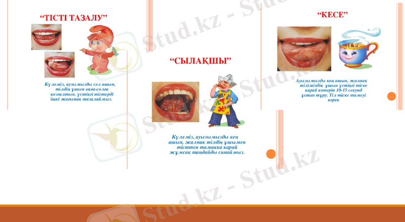 Slide 5