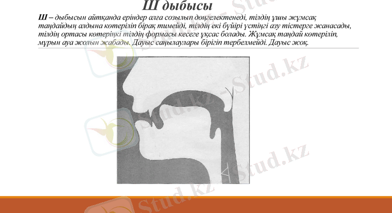 Slide 7