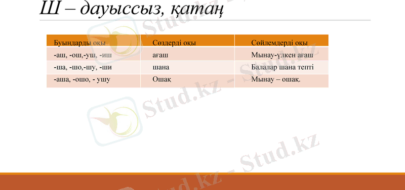 Slide 8