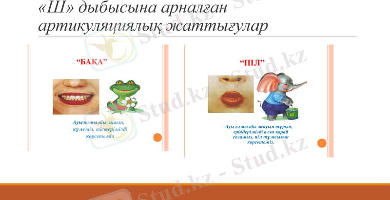Slide 9