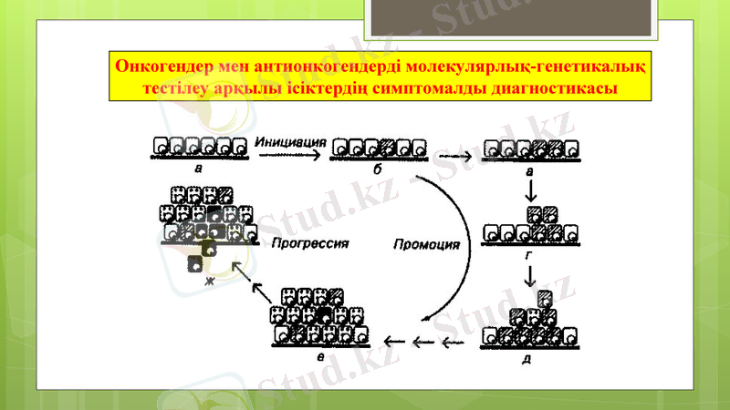 Slide 10