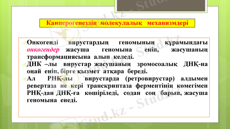 Slide 12