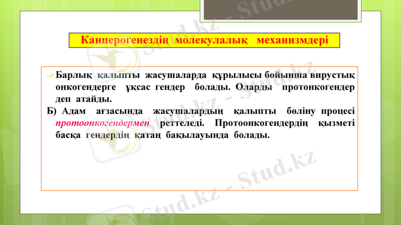 Slide 13