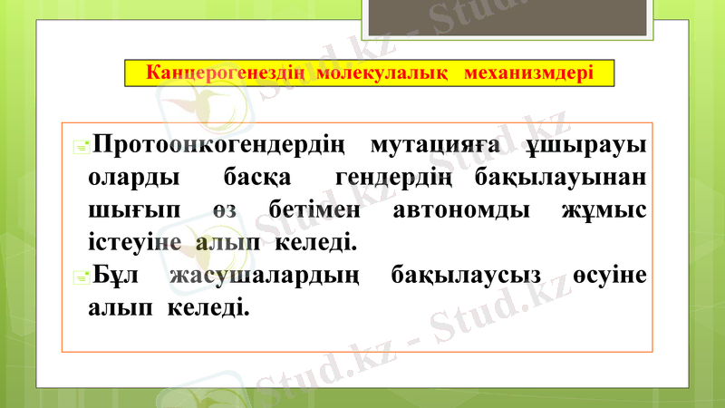 Slide 14