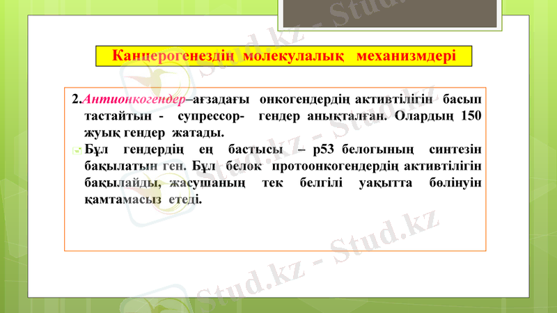 Slide 16