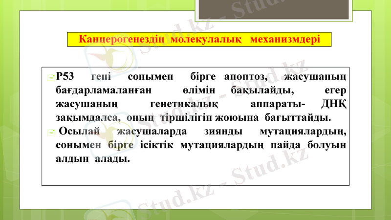Slide 17