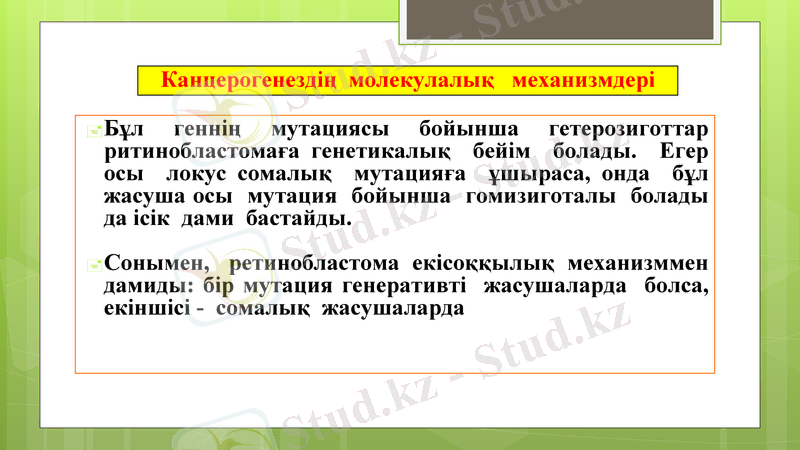 Slide 19