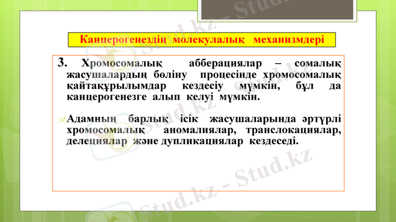 Slide 20