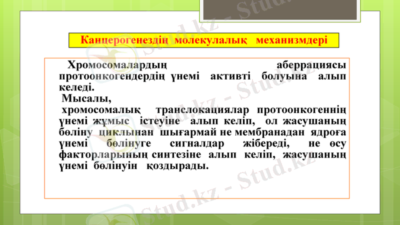 Slide 21