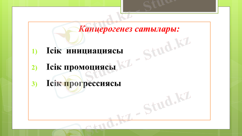 Slide 22