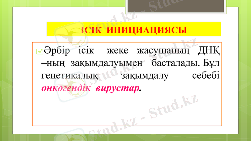 Slide 23
