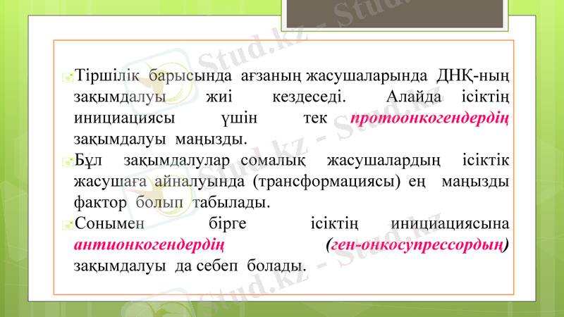 Slide 24