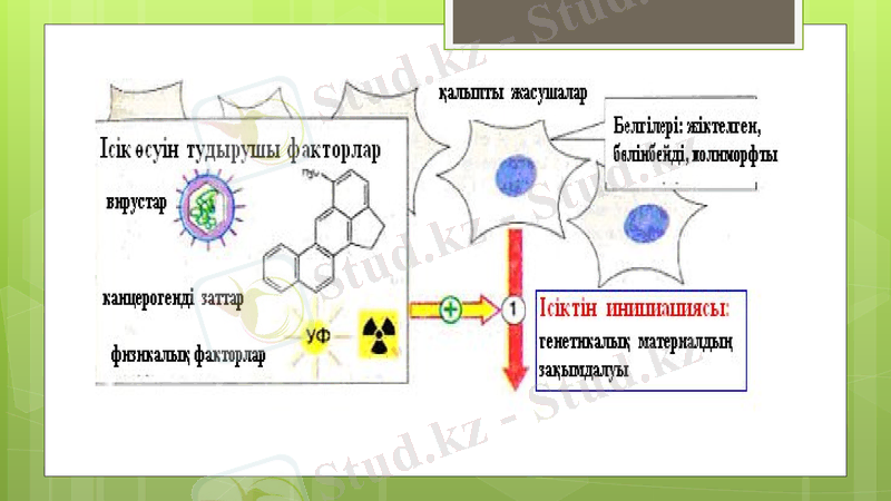 Slide 25