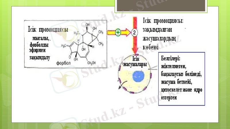 Slide 27
