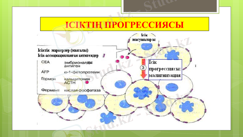 Slide 29