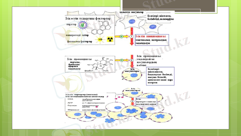 Slide 30