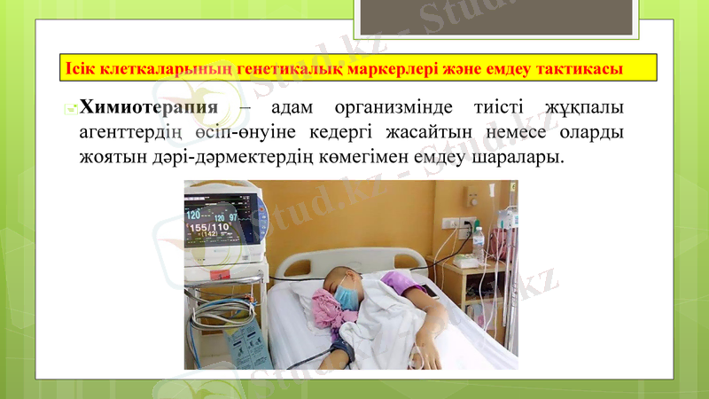 Slide 31
