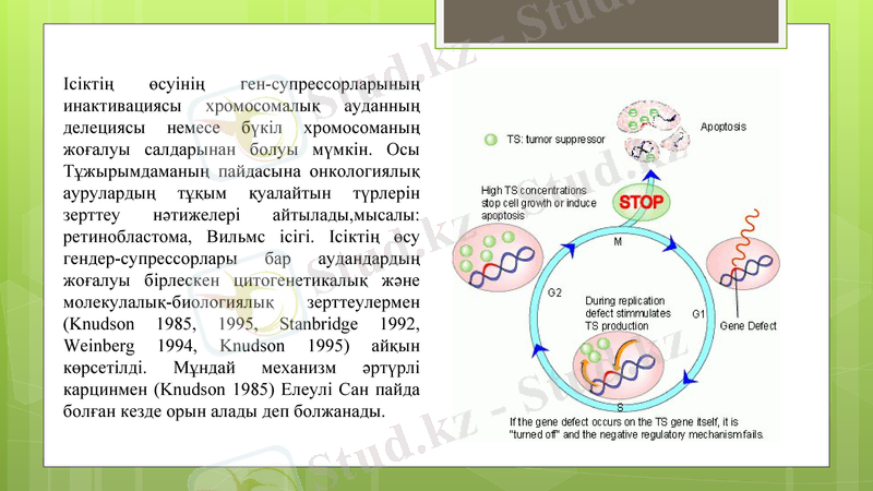 Slide 7