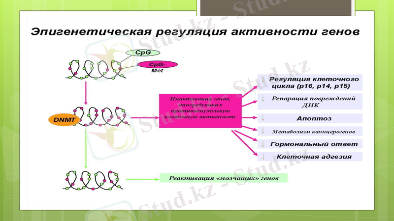 Slide 8