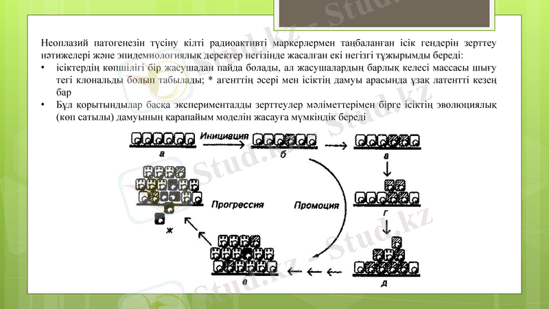 Slide 9