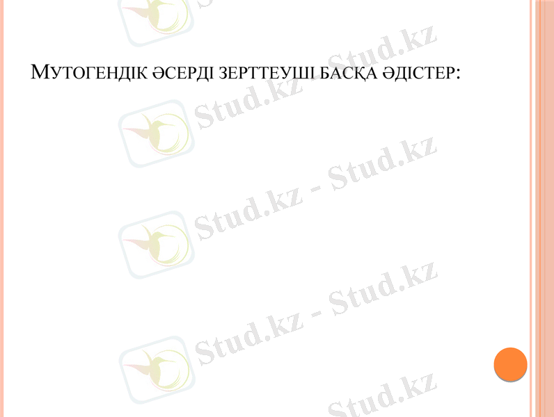 Slide 10