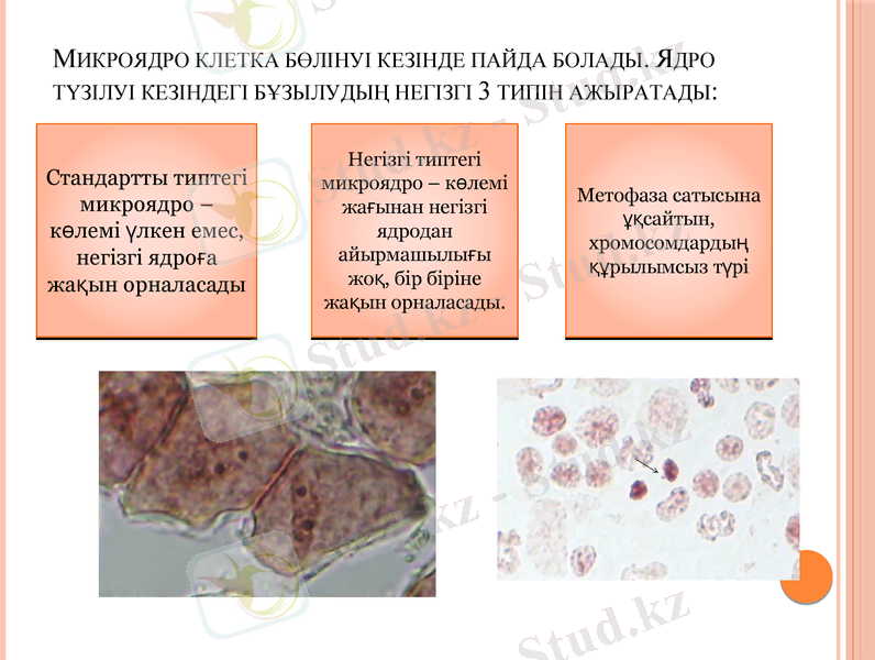 Slide 12