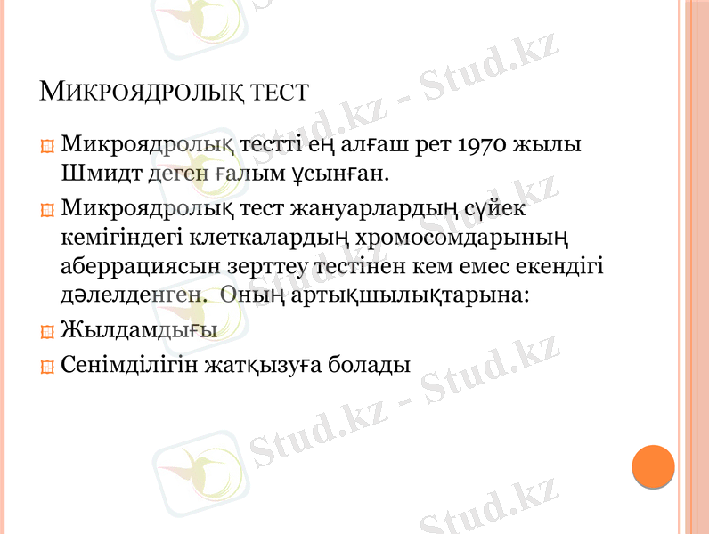 Slide 13