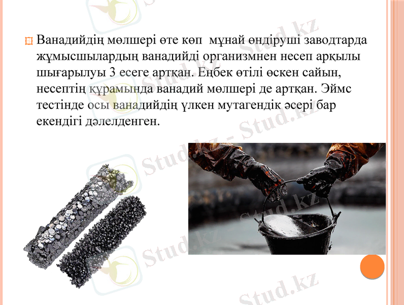 Slide 7